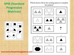 Iq ve eq arasındaki dengeyi çok iyi kurarlar. Jual Software Tes Spm Standard Progressive Matrices