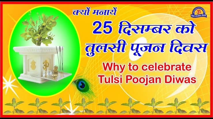 Image result for तुलसी पूजन दिवस"