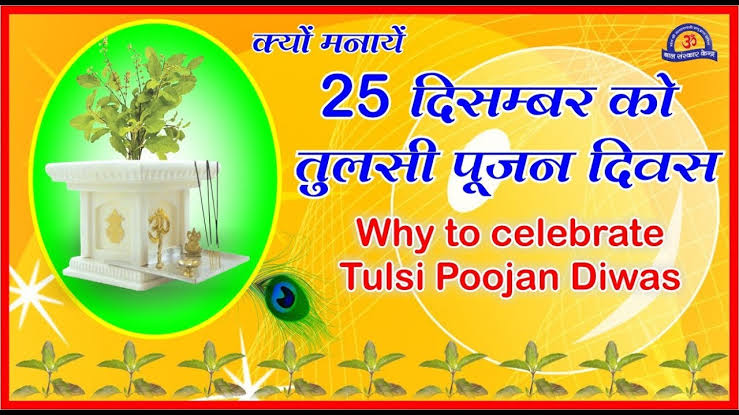 Image result for तुलसी पूजन दिवस"