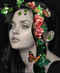 Flower Head Colour Gel Photography Gel Photography Art