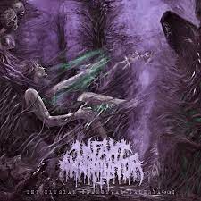 Infant Annihilator – Motherless Miscarriage Lyrics | Genius Lyrics