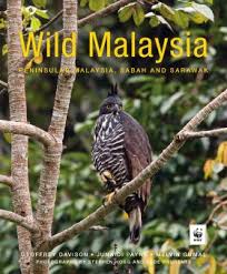 I think investment and the well being of the inhabitants of sabah and sarawak should not be blame on the federal government alone, the various restriction of immigration from peninsular malaysia robs these states of a dynamic group of people who may help sarawak and sabah to develop. Wild Malaysia Peninsular Malaysia Sabah And Sarawak Nhbs Field Guides Natural History