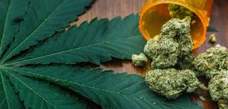 Cannabis Wirkung Nebenwirkungen Wenn Sie Hasch Rauchen