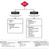 Pathology etiology of pleural effusion. 1