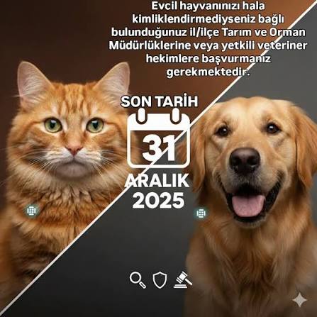 Evcil Hayvanına Çip Taktırmayı Unutma: Son Gün 31 Aralık!
