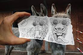 Karakalem Ile Gerceklerin Birlesmesi Funny Drawings Camera Art Camera Artwork