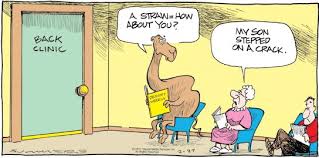 The straw that broke the camel's back (28 may 2020). The Straw That Broke The Camels Back New Quotes I Love To Laugh Stress Tolerance