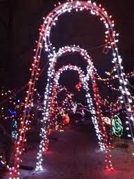 Calgary Zoo Lights Zoo Lights Christmas Beauty Neon Signs