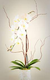Just A Simple Potted Orchid From Trader Joe S And Add Some Curly Willow And Figure Out A Unique Base That Isn T Expe Orchids Orchid Centerpieces Orchid Wedding