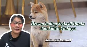 Hewan Paling Setia di Dunia dan Fakta Uniknya-Serius Ini Hewan?