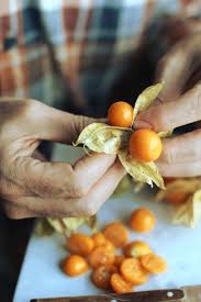 One Of My Favorite Things To Eat Lately Physalis London Fridge