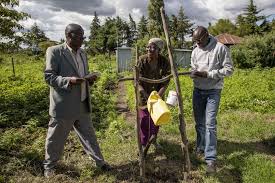Ngos, sometimes called civil societies, are organized on community, national and ingo: Advocacy And Operational Ngos Global Climate