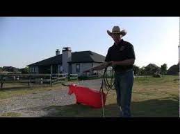 How To Throw A Rope Lasso Youtube Lasso Bull Rope Lasso Rope