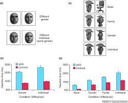 Seeing It Differently Visual Processing In Autism Sciencedirect