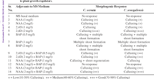Image result for Cyamopsis serrata