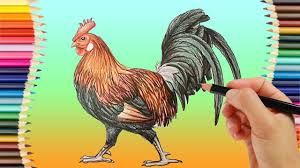 Check spelling or type a new query. How To Draw A Realistic Rooster Step By Step Easy How To Do Realistic Pencil Shading Youtube