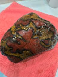 Image result for Agate Red Brown 1956 Wayne Works