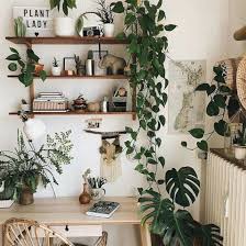 33 Best Natural Indoor Plants For Apartment Decoration Homiku Com House Plants Decor Home Decor Tips Easy Home Decor