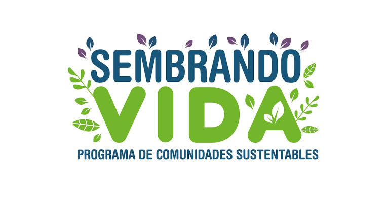 Logo Sembrando Vida MX