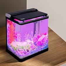 Amazon Com Hygger 4 Gallon Smart Touchscreen Led Temperature Display Aquarium Kit With Flip Lid 3 In 1 Wat In 2020 Small Fish Tanks Fish Tank Lights Cool Fish Tanks