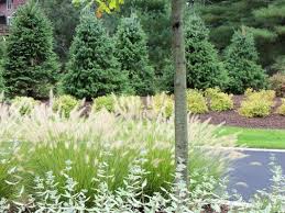 Bonnie brock landscape design 948 clara dr. Jacobsen Landscape Design Construction 413 Godwin Ave Midland Park Nj Landscaping Mapquest
