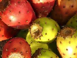 Bucce di fichi d'india con cipolla rossa. Marmellata Di Fichi D India Ricette Di Sardegna