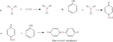 I have made an attempt to detect nitrogen using gc with argon as a carrier and tcd as a detector. Detection Methods Of Ammonia Nitrogen In Water A Review Sciencedirect
