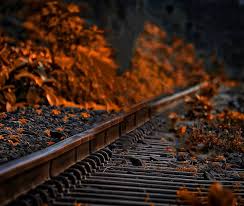 Download and use 90,000+ background stock photos for free. Png Background Hd Download 2019 Rwanda 24