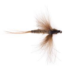 The adams pattern has been quite successful over the years. Top 10 Dry Flies For Trout Adh Fishing