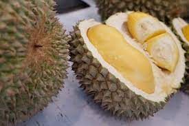 With the above problems associated with our company, the return of investment was not up to our expectation. In Penang Authorities Say Rm937 For Three Durians Reasonable As Sellers Fined For Confusing Price Tags Malaysia Malay Mail