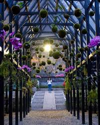 Tiket Masuk Orchid Forest Cikole 2021 Penginapan Dan Alamat