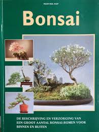 Bonsai Van Martina Hop 2 X Nieuw En 16 X Tweedehands Te Koop Omero Nl