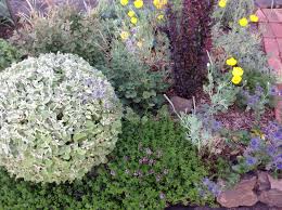 Flowers by nature port melbourne. Blog Detail Open Gardens Victoria
