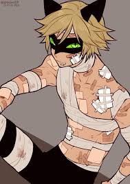 Chat Noir Miraculous Ladybug Anime Miraculous Ladybug Comic Miraculous Ladybug Memes