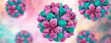 While mild diarrhea is the main symptom. Norovirus 2020 Symptome Ansteckung Dauer Hygiene In Practice
