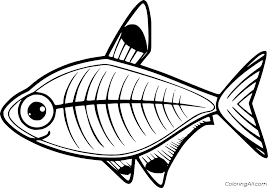 Simply do online coloring for x ray for letter x coloring page directly from your gadget, support for ipad, android tab or using our web feature. Easy X Ray Fish Coloring Page Coloringall