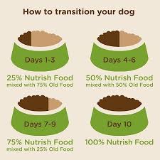 Dog Food Feeding Instructions Senior Dog Food Reviews
