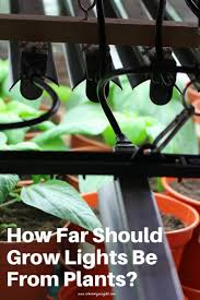 Light can be generated from artificial and natural sources. Ever Wondered How Far Away Should Led Lights Be From Plants We Show You How To Evaluate Proper Grow Grow Lights For Plants Grow Lights Growing Plants Indoors