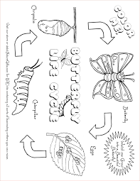 One of the most simple insect to color for your children. Free Butterfly Coloring Pages Butterfly Life Cycle