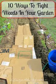 Controlling the weeds in your garden sure gets complicated if you have pets at home. Killing Weeds In Flowerbeds