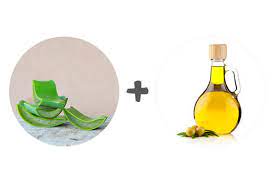 Pour the olive oil and the blended aloe vera into a pot and simmer with low heat until the green color turns brown. Hair Regrowth How To Use Aloe Vera Gel For Hair Growth Be Beautiful India
