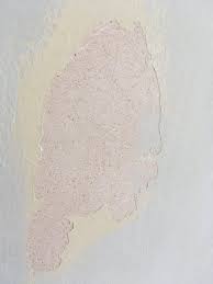 Cleaning the walls after removing wallpaper is not just a cleaning matter, but depending on the damage, you might need to do some spackle this job is a piece of cake for professional painters with fantastic services. Prepping A Wall For Painting After Removing Wallpaper Diynot Forums