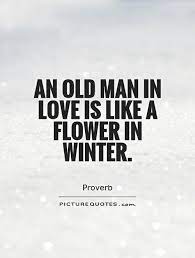 An Old Man In Love Is Like A Flower In Winter Picture Quotes