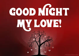 Express your love and send her good wishes to fill her let her know how you feel and how much you adore her with your words. 100 Romantic Good Night Love Messages Wishesmsg