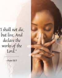 images?q=tbn:ANd9GcQnf5v7reFLDX4-ua1NO6DtaJzcfyBRR3e41A&s