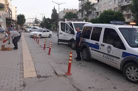 Mut Ta Basibos Sokak Kopekleri Toplaniyor Mersin Haberleri