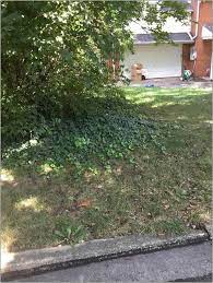 Valuing practicality, functionality and longevity of design and materials, we are able to help our clients create impactful and buildable developments with. Bio Landscape Maintenance Houston Tx Home Improvement