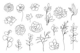 Flower set single line hand drawn floral design elements. 9 062 Best One Line Drawing Flower Images Stock Photos Vectors Adobe Stock