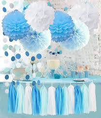 Birthday Party Decorations Baby Blue White Turquoise Blue Tissue Paper Pom Poms Snow Theme Party Decor Baby Boy First Birthday Decorations Circle Garland Whales First Birthday Decorations Boy Baby Shower Themes