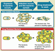 Causes of Antimicrobial (Drug) Resistance | NIAID: National Institute of  Allergy and Infectious Diseases